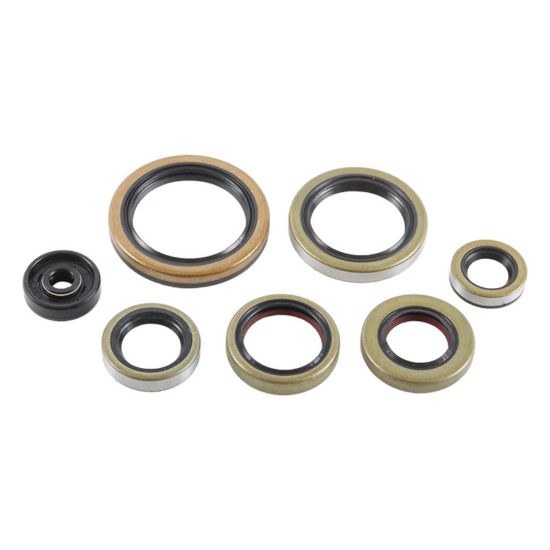 VERTEX ENGINE OIL SEAL KIT