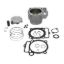 CYLINDER WORKS STANDARD BORE CYLINDER KIT