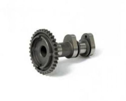 HOT CAMS CAMSHAFT INTAKE