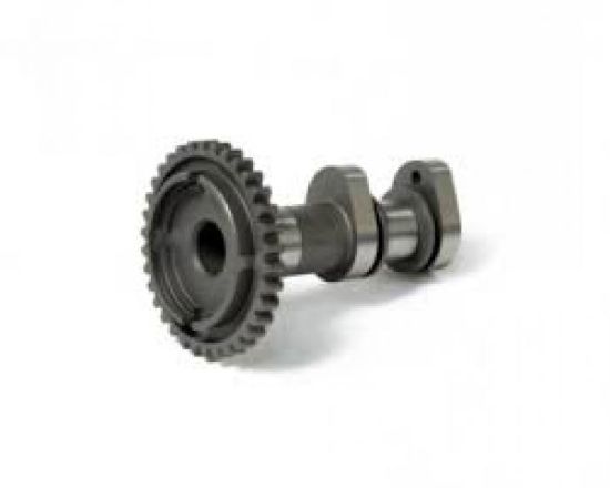 HOT CAMS CAMSHAFT INTAKE