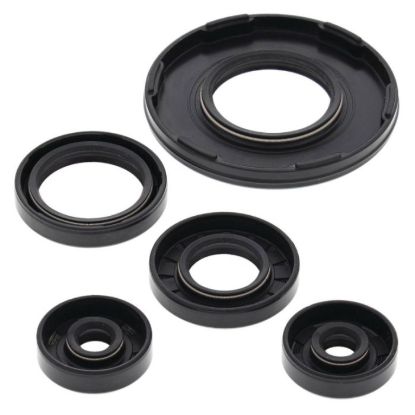 VERTEX ENGINE OIL SEAL KIT