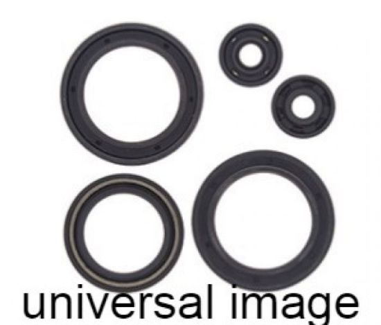 VERTEX OIL SEAL