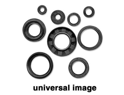 VERTEX JET PUMP SEAL KIT