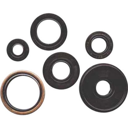 VERTEX TOP END GASKET KIT