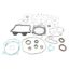 VERTEX COMPLETE GASKET KIT WITHOIL SEALS