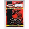 PIVOT WORKS REAR WHEEL AND SEAL KIT HONDA STREET BIKE