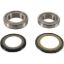 PIVOT WORKS STEERING STEM BEARING KIT
