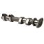 HOTCAMS CAMSHAFTS POLARIS