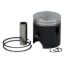 CX 65 10-11 PISTON KIT