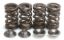 KIBBLEWHITE VALVE SPRING KIT .465" LIFT