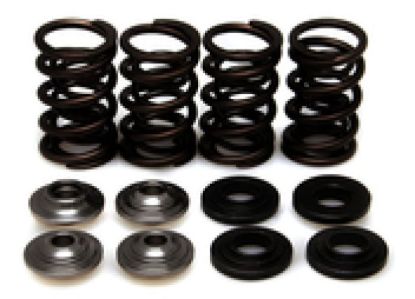 KPMI SPRING KIT, LIGHTWEIGHT RACING, 0.425" LIFT, KTM® APPS