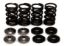 KPMI SPRING KIT, LIGHTWEIGHT RACING, 0.425" LIFT, KTM® APPS