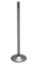 KPMI VALVE, TENSILITE TITANIUM, 6.0MM STEM BLANK