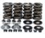 KPMI SPRING KIT, LIGHTWEIGHT RACING, 0.600" LIFT, HD