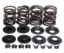 KPMI SPRING KIT LIGHTWEIGHT RACING .600" LIFT