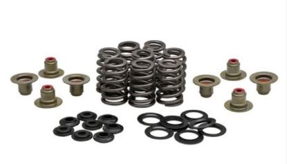 KPMI BEEHIVE SPRING KIT TITANIUM 0.465" LIFT