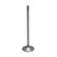 KPMI VALVE, TENSILITE TITANIUM, 44MMX6.0MM STEM BLANK