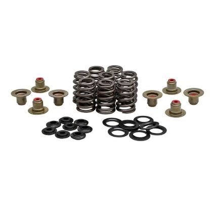 KPMI BEEHIVE SPRING KIT H.T. STEEL 0.550" LIFT