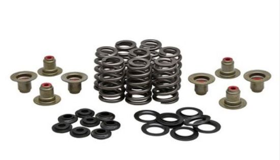 KPMI BEEHIVE SPRING KIT TITANIUM 0.550" LIFT