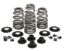 KPMI SPRING KIT, BEEHIVE, 0.610"" LIFT, 5/16" HD