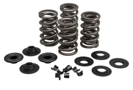 KPMI SPRING KIT, LIGHTWEIGHT RACING, 0.650" LIFT, 5/16" HD