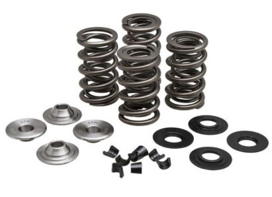 KPMI RACING SPRING KIT, TITANIUM, 0.650" LIFT, 5/16" HD