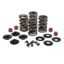 KPMI SPRING KIT, LIGHTWEIGHT RACING, 0.650" LIFT, 7MM HD