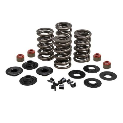 KPMI SPRING KIT, LIGHTWEIGHT RACING, 0.675" LIFT, 7MM HD
