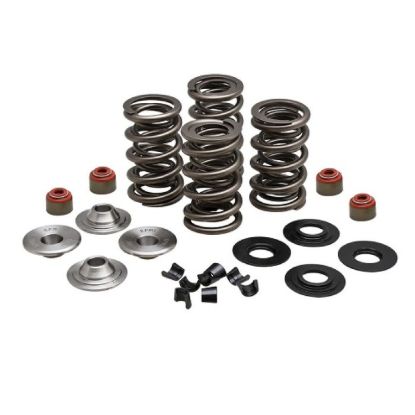KPMI RACING SPRING KIT, TITANIUM, 0.650" LIFT, 7MM HD