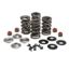 KPMI RACING SPRING KIT, TITANIUM, 0.675" LIFT, 7MM HD