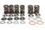 KPMI SPRING KIT LIGHTWEIGHT RACING .500" LIFT