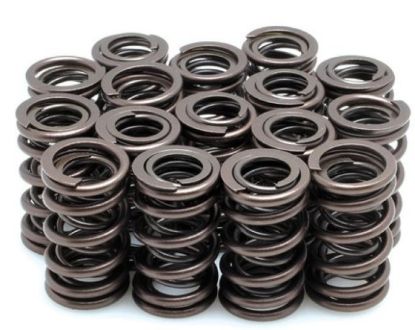 KPMI SPRING KIT SPRING ONLY .480" LIFT