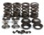 KPMI SPRING KIT, 5.0MM CONVERSION, 0.460" LIFT, HONDA®