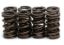 KPMI SPRING KIT, SPRING ONLY, 0.560" LIFT, KAWASAKI®