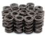 KPMI SPRING KIT, SPRING ONLY, 0.500" LIFT, KAWASAKI®