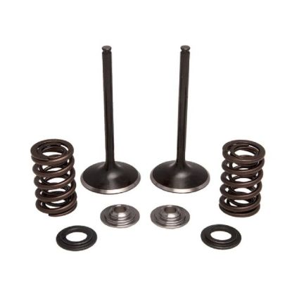 KPMI INTAKE ONLY SPRING KIT TITANIUM 0.450" LIFT