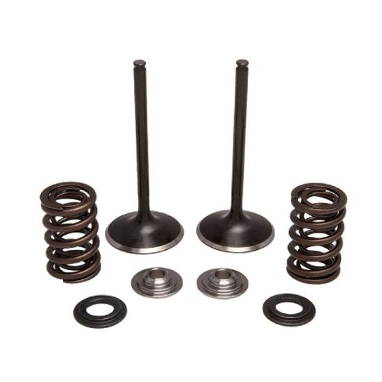 KPMI INTAKE ONLY SPRING KIT TITANIUM 0.450" LIFT