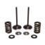 KPMI INTAKE ONLY SPRING KIT TITANIUM 0.450" LIFT