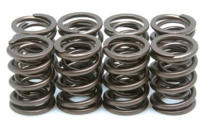 KPMI SPRING KIT, SPRING ONLY, 0.480" LIFT, SUZUKI®