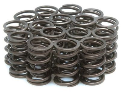 KPMI SPRING KIT SPRING ONLY .490"" LIFT