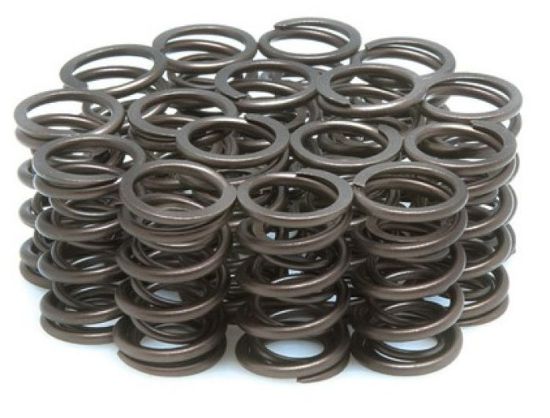 KPMI SPRING KIT SPRING ONLY .490"" LIFT