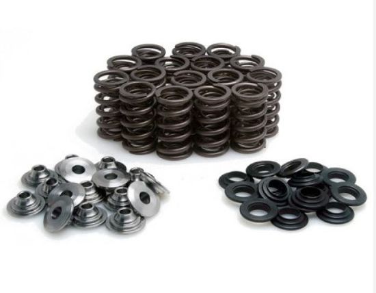 KPMI SPRING KIT LIGHTWEIGHT RACING .490"" LIFT