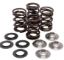 KPMI SPRING KIT LIGHTWEIGHT RACING .500" LIFT