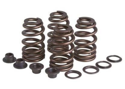 KPMI SPRING KIT, BEEHIVE, .460" LIFT, TRIUMPH®, 750, 1973-198