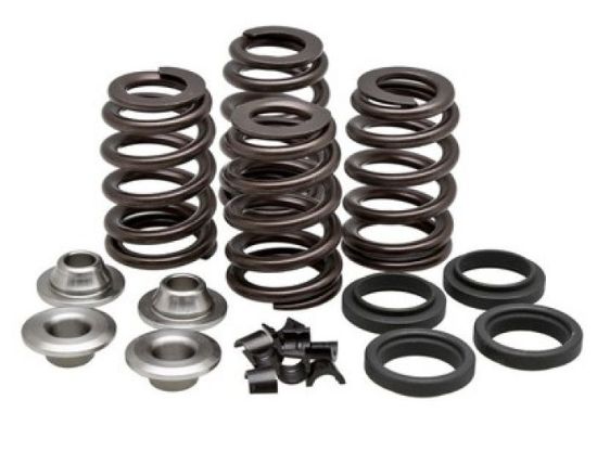 KPMI SPRING KIT 6.0MM CONV. BEEHIVE .460" LIFT