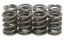 KPMI SPRING KIT OEM REP. SPRING ONLY .440" LIFT