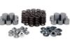 KPMI SPRING KIT (SHIM-IN-TAPPET), HT STEEL, 0.445" LIFT