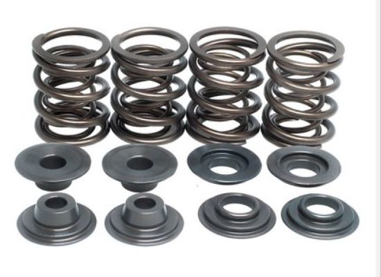 KPMI SPRING KIT, OEM REPLACEMENT, .450" LIFT