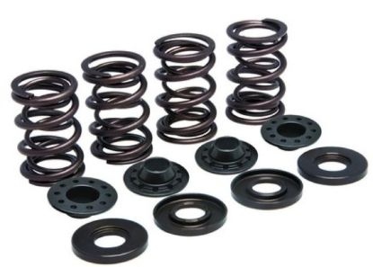 KPMI SPRING KIT, LIGHTWEIGHT RACING, .500"