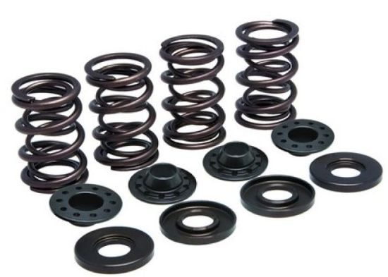 KPMI SPRING KIT, LIGHTWEIGHT RACING, .500"